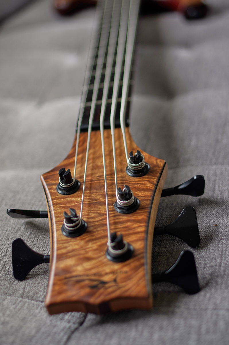 Ristola Exotic - _K3L8283