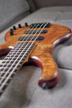 Ristola Exotic - _K3L8284