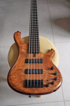 Ristola Exotic - _K3L8291