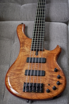 Ristola Exotic - _K3L8276