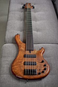 Ristola Exotic - _K3L8281