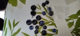 https://nsm09.casimages.com/img/2024/05/13//mini_24051303371225343118405287.jpg