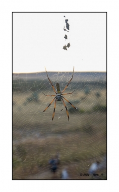 Madagascar Mai 2024 - DSC01038