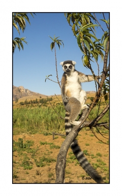 Madagascar Mai 2024 - DSC00938