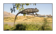 Madagascar Mai 2024 - DSC00964