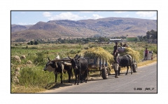 Madagascar Mai 2024 - DSC00998