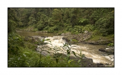 Madagascar Mai 2024 - DSC00662