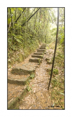 Madagascar Mai 2024 - DSC00666