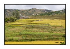 Madagascar Mai 2024 - DSC00412