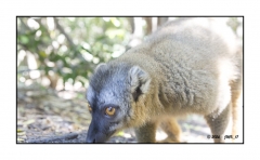 Madagascar Mai 2024 - DSC01078