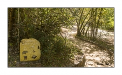 Madagascar Mai 2024 - DSC01088