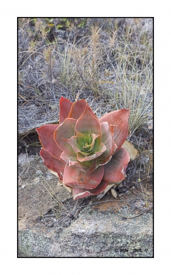 Madagascar Mai 2024 - DSC01061