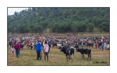 Madagascar Mai 2024 - DSC00291