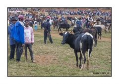 Madagascar Mai 2024 - DSC00294