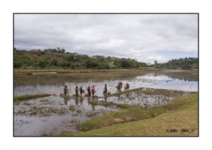 Madagascar Mai 2024 - DSC00295