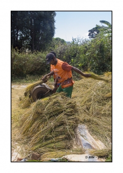 Madagascar Mai 2024 - DSC00311