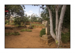 Madagascar Mai 2024 - DSC00323