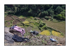 Madagascar Mai 2024 - DSC00332