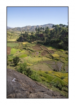 Madagascar Mai 2024 - DSC00336