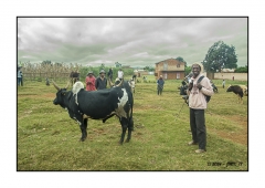 Madagascar Mai 2024 - DSC00272