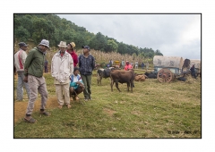 Madagascar Mai 2024 - DSC00281