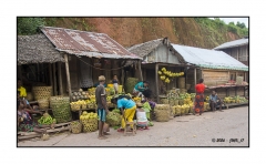 Album Madagascar Mai 2024