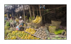 Madagascar Mai 2024 - DSC00528