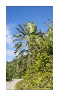 Madagascar Mai 2024 - DSC00503