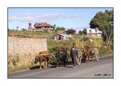 Madagascar Mai 2024 - DSC00238