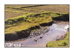 Madagascar Mai 2024 - DSC00242