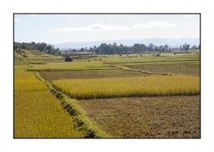 Madagascar Mai 2024 - DSC00243