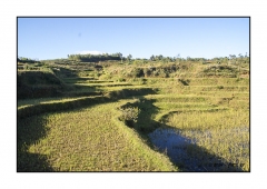 Madagascar Mai 2024 - DSC00248