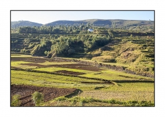 Madagascar Mai 2024 - DSC00269