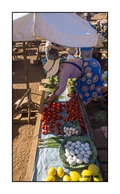 Madagascar Mai 2024 - DSC00833