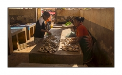 Madagascar Mai 2024 - DSC00838