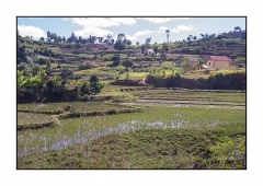 Madagascar Mai 2024 - DSC00148