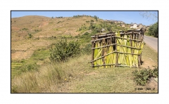 Madagascar Mai 2024 - DSC00771