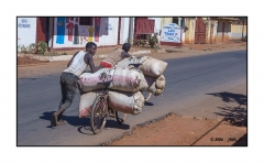 Madagascar Mai 2024 - DSC00814