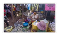 Madagascar Mai 2024 - DSC00817