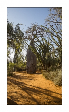 Madagascar Mai 2024 - DSC01170