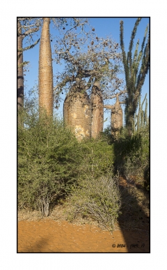 Madagascar Mai 2024 - DSC01171