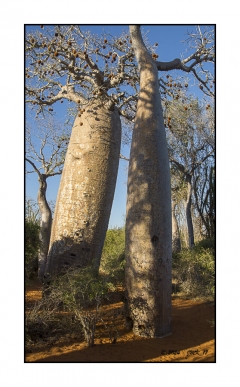 Madagascar Mai 2024 - DSC01176