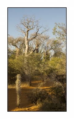 Madagascar Mai 2024 - DSC01180