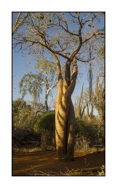 Madagascar Mai 2024 - DSC01182