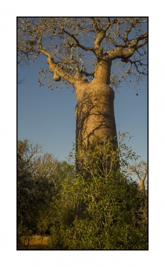 Madagascar Mai 2024 - DSC01185