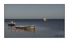 Madagascar Mai 2024 - DSC01116