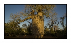 Madagascar Mai 2024 - DSC01190