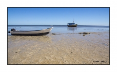 Madagascar Mai 2024 - DSC01201