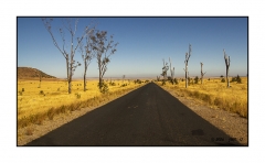 Madagascar Mai 2024 - DSC01110