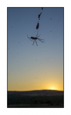 Madagascar Mai 2024 - DSC01030